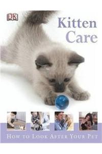 Kitten Care How To Look After Your Pet