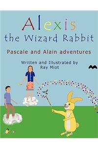 Alexis the Wizard Rabbit