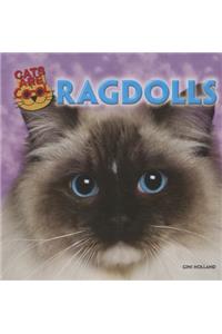 Ragdolls