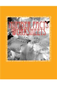 Number Facts Worksheets