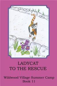 Ladycat to the Rescue
