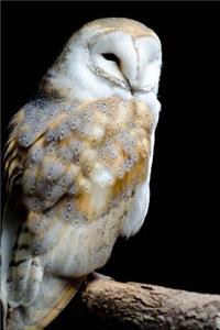 Mind Blowing Barn Owl 200 page journal