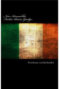 Nua-Aimseartha Foclóir Rúisis-Gaeilge