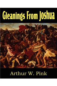 Gleanings from Joshua