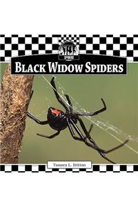 Black Widow Spiders