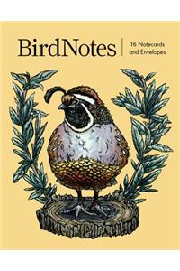 Birdnotes