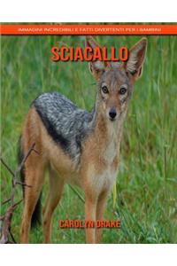 Sciacallo