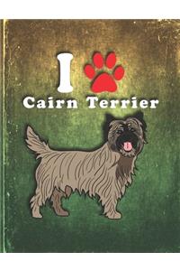 Cairn Terrier