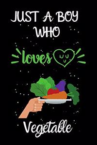 Just A Boy Who Loves Vegetable: A Great Gift Lined Journal Notebook For Vegetable Lovers.Best Gift Idea For Christmas/Birthday/New Year