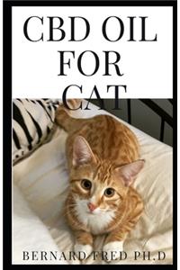 CBD Oil for Cat