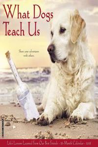 What Dogs Teach Us 2018 Wall Calendar