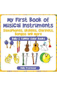 My First Book of Musical Instruments