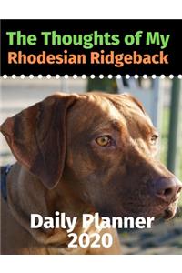 The Thoughts of My Rhodesian Ridgeback