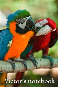 Victor's notebook, journal, size 6x9, 100 pages