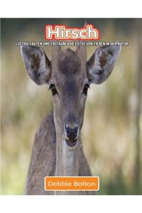 Hirsch