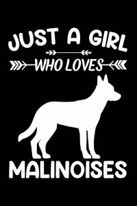 Just A Girl Who Loves MALINOISES