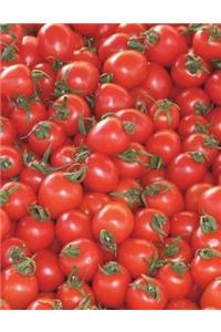 Tomatoes Notebook large Size 8.5 x 11 Ruled 150 Pages