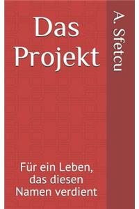 Das Projekt