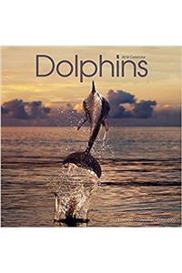 Dolphins Calendar 2018