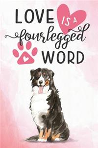 Love Is a Four Legged Word