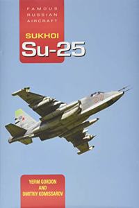 Famous Russian Aircraft Sukhoi Su-25