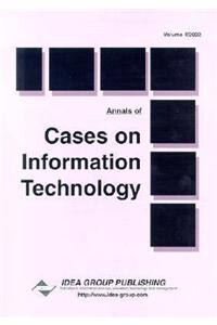 Contemporary Experiences in IT Management