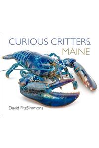 Curious Critters Maine