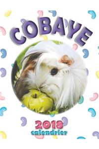 Cobaye 2018 Calendrier (Edition France)