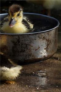 Duckling Notebook
