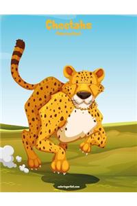 Cheetahs Coloring Book 1