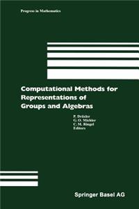 Computational Methods for Representations of Groups and Algebras