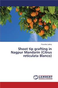 Shoot tip grafting in Nagpur Mandarin (Citrus reticulata Blanco)