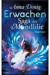 Erwachen
