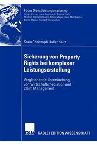 Sicherung von Property Rights bei komplexer Leistungserstellung