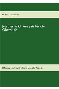 Jetzt lerne ich Analysis für die Oberstufe