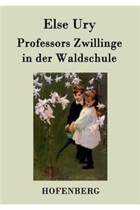 Professors Zwillinge in der Waldschule