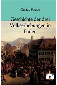 Geschichte der drei Volkserhebungen in Baden