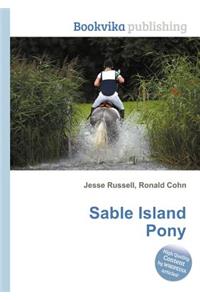Sable Island Pony