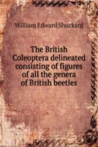 THE BRITISH COLEOPTERA DELINEATED CONSI
