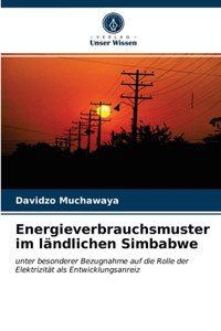 Energieverbrauchsmuster im ländlichen Simbabwe