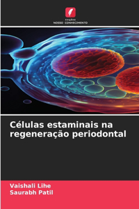 Células estaminais na regeneração periodontal