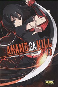Akame ga kill! 13