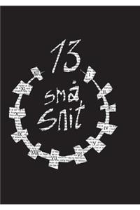 13 små snit