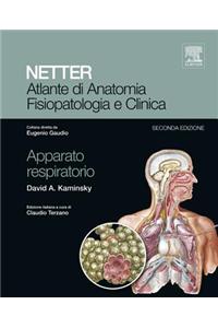 Atlante Di Anatomia Fisiopatologia E Clinica: Apparato Respiratorio