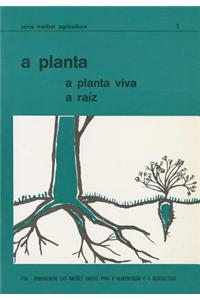 A Planta