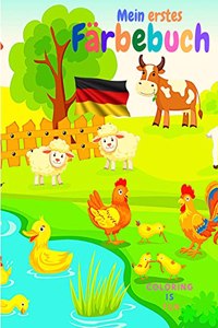 Mein erstes Färbebuch