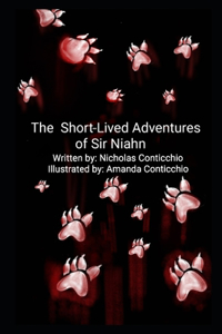 The Short-Lived Adventures of Sir Niahn