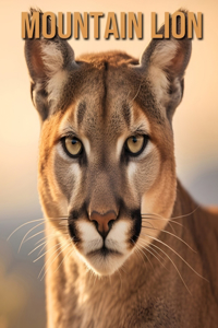 Mountain Lion