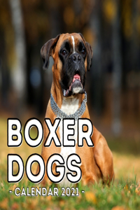Boxer Dogs Calendar 2021