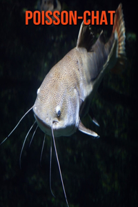 Poisson-Chat